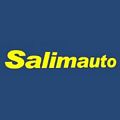 Salim Auto Co Ltd à Brisée Verdière